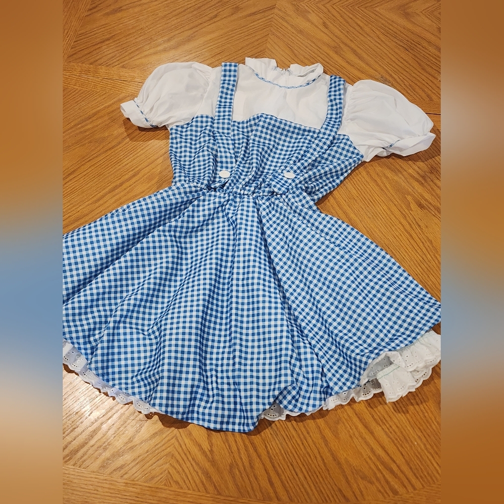 Blue Checkered Kids Costume Dress with White Accents. Dorthy Wizard of Oz